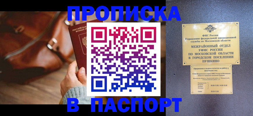 временная регистрация недорого в Чкаловске